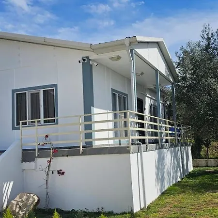 Ermis Dhermi
